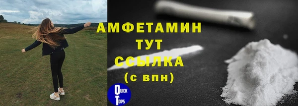 гидра Бородино