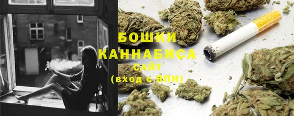дживик Богородск