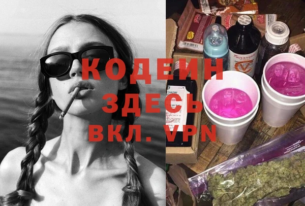 дживик Богородск